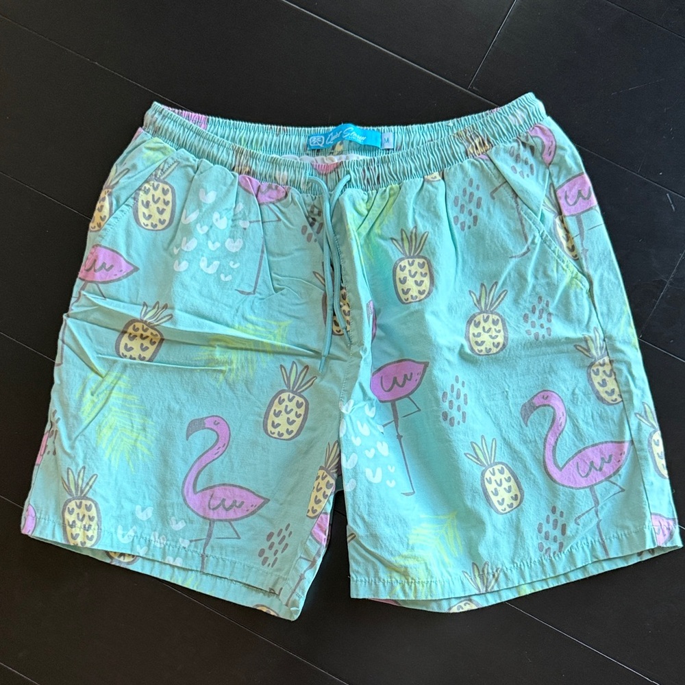 Quiet Storm Aqua Flamingo and Pineapple Swim Trunks